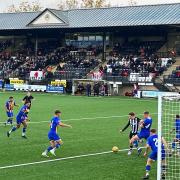 Dorchester Town cruised past Basingstoke 4-1 at the Avenue