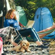 Campsite bids for temporary use over the summer