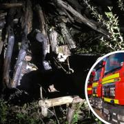 A stack of logs was deliberately set alight in a woods near Bere Regis last night