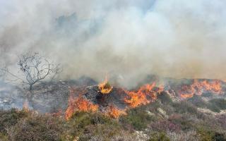 Fire at heathland in Studland