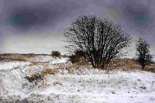 Snowfall over Dorset. Picture taken near Hardy's monument. Pic: James Newman.