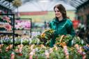 Helping Your Community Grow at Dobbies