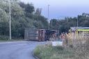 'We heard banging from the cattle': Livestock lorry overturns on roundabout