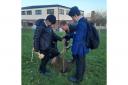 Furze Platt Senior School planting a Little Green Change plum tree, 16th January 2024