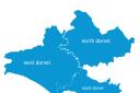 A SEA OF BLUE: The local constituency outcome