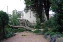 CRASH: The 120-year-old tree which fell through a fence and on to a garage