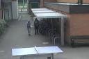CCTV appeal after bike thefts at a Wimborne school