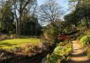 Abbotsbury Subtropical Gardens where A Midsummers night's dream will be performed.  Picture: Abbotsbury Subtropical Gardens