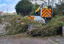 Tree falls on car in Weymouth