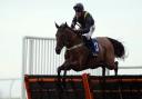 Dorset's Fiddlerontheroof will go in Saturday's Grand National         Picture: PA WIRE