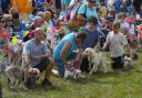 Dog show at the Dog, Sausage and Cider Festival at Sutton Poyntz - 28th August 2022.