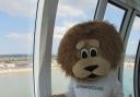 Eli's trip up Weymouth’s Sea Life tower
