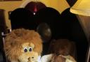 Meet Paddington at Teddy Bear Museum