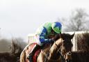 American ridden by Noel Fehily clears the last fence before going on to win The BetFred Mobile Hampton Novices' Steeple Chase Race run during Betfred Classic Chase Day at Warwick Racecourse. PRESS ASSOCIATION Photo. Picture date: Saturday January 14,