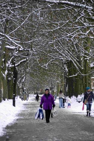Snow - South Walks, Dorchester - 021210, Picture GRAHAM HUNT HG7704