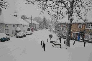 Reader Bernard Roughton's picture of snow at Piddlehinton