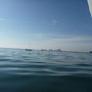 Sunny sailing in Miami