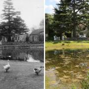 Old and interesting photos of Dorset compared with pictures from recent years