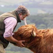 A campaign has been launched to protect livestock following the death of highland cow Gladis 
Picture: Isobel Farquharson