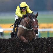 Lostintranslation represents Dorset in today's King George VI Chase Picture: ANTHONY DEVLIN/PA WIRE