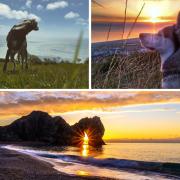 Online gallery featuring the best pictures our readers have taken of Dorset 

(Pic credits clockwise from left: Louiza Camm, Neil Roberts, Richard Murgatroyd)