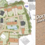 Cerne Abbas 19 homes scheme - Illustration – Proposed site plan – courtesy Applecourt Ltd/Williams Lester