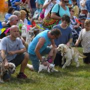 Dog show at the Dog, Sausage and Cider Festival at Sutton Poyntz - 28th August 2022.