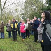 Friends of Lodmoor Country Park hear Carl Dallison (fifth from right) explain the life history of one of the park's trees.
