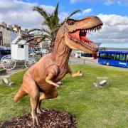This week will be the last chance to see the dinosaurs