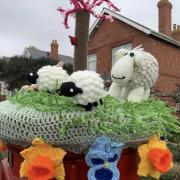 Anonymous yarn bombers have once again targeted a post box on Portland Road