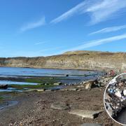 Plastic nurdles have been seen washed up on the beach at Kimmeridge Bay