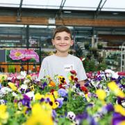 National Children's Gardening Week  is being celebrated at Dobbies garden centre at Galton near Owermoigne