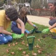 Students help out nature by planting bulbs at hospice