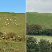 The Cerne Abbas Giant in April, and in October