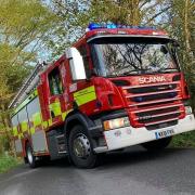 A TEENAGER has been rescued from a tree over a large pond