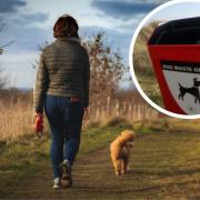 Dog fouling levels have been noticed by Poundbury residents who are calling for more bins