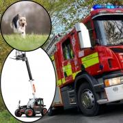 The dog was rescued by a telehandler - a type of forklift truck (File picture)