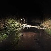 Tree falls on Pymore Road