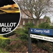 Dorset local council elections