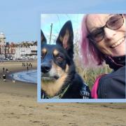 Weymouth Beach and Linda Stevenson with her dog Images: Newsquest/Supplied