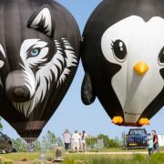 Different themed hot air balloons will be on display for people to ride in including a penguin and a wolf