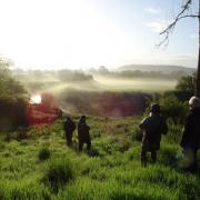 Last year's dawn chorus walk at Bere Marsh Farm
