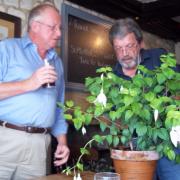 Neil and Phil seek bids for a pot of fuchsias