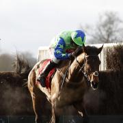 American ridden by Noel Fehily clears the last fence before going on to win The BetFred Mobile Hampton Novices' Steeple Chase Race run during Betfred Classic Chase Day at Warwick Racecourse. PRESS ASSOCIATION Photo. Picture date: Saturday January 14,