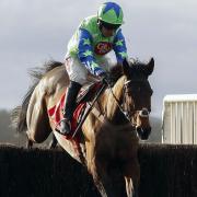 FESTIVAL OPTIONS: American, ridden by Noel Fehily          Picture: PA