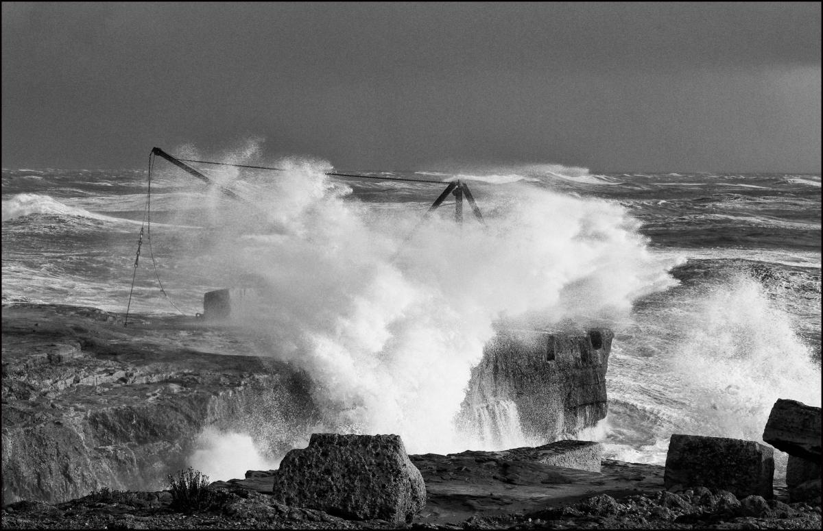Ted Toop sent us this picture of the red crane in the gales at Portland Bill.
