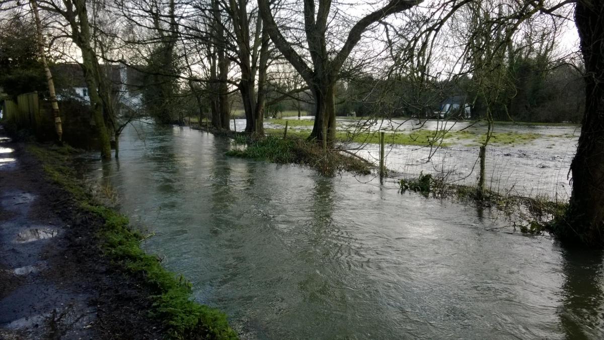 Martin Lake sent us this picture of the River Cerne, along Mill Lane in Charminster.