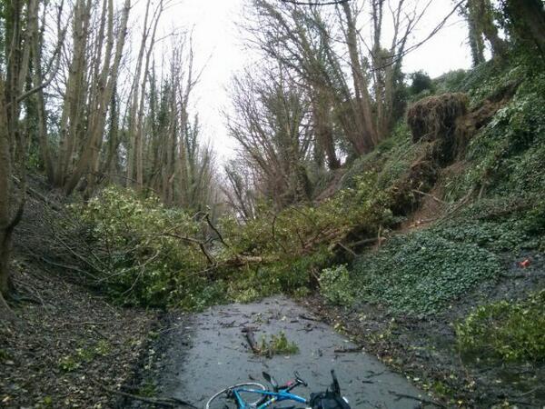Rachel Rogers sent us this picture of a tree down on the Rodwell Trail