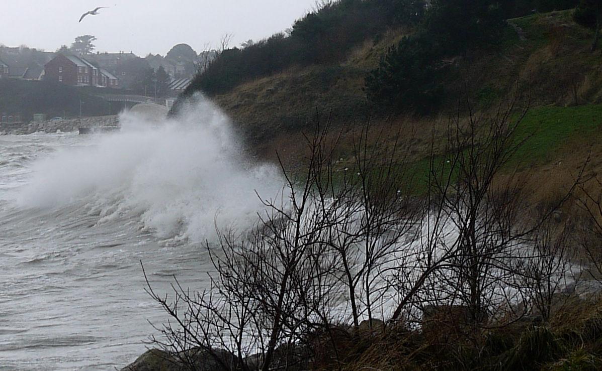 Reader Sue Hogben snapped this pic of Newtons Cove