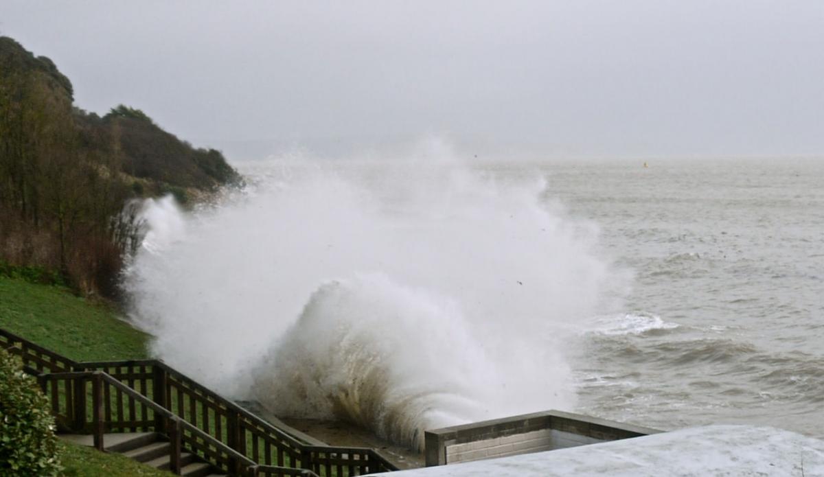 Reader Sue Hogben snapped this pic of Newtons Cove